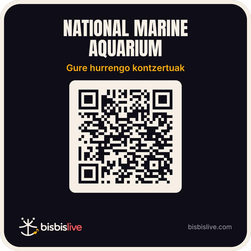 QR pegatina